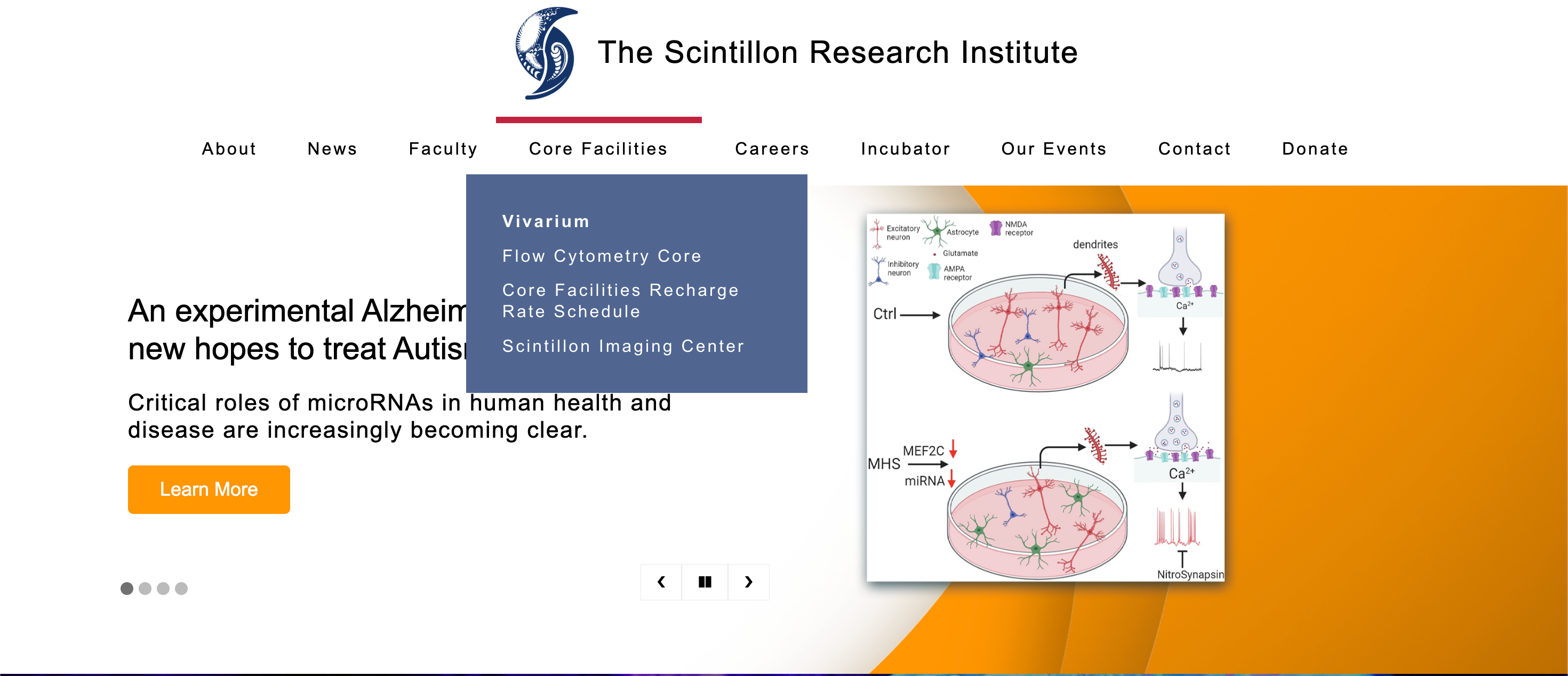 Scintillon Research Institute Website — screenshot 1