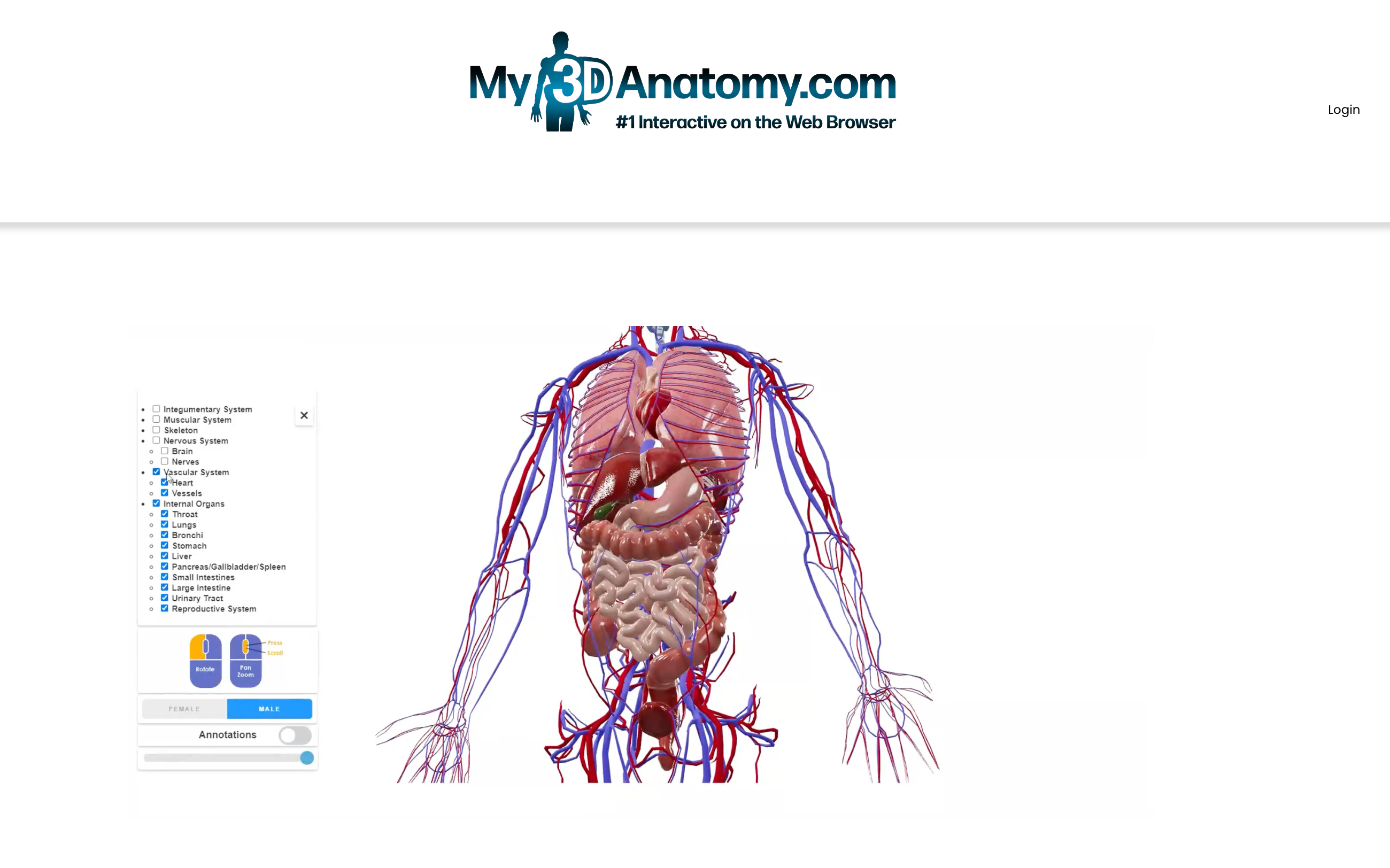 My3DAnatomy Squarespace Website