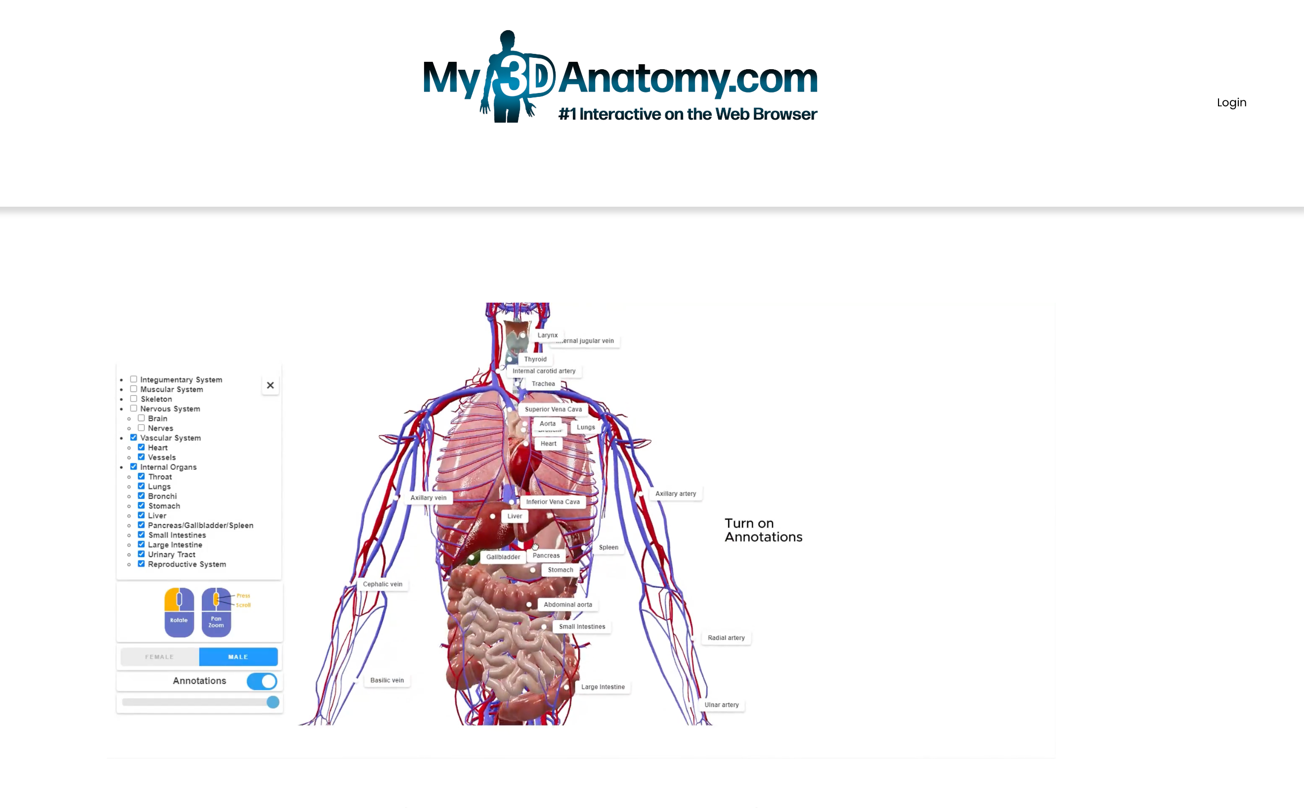 My3DAnatomy Squarespace Website — screenshot 4