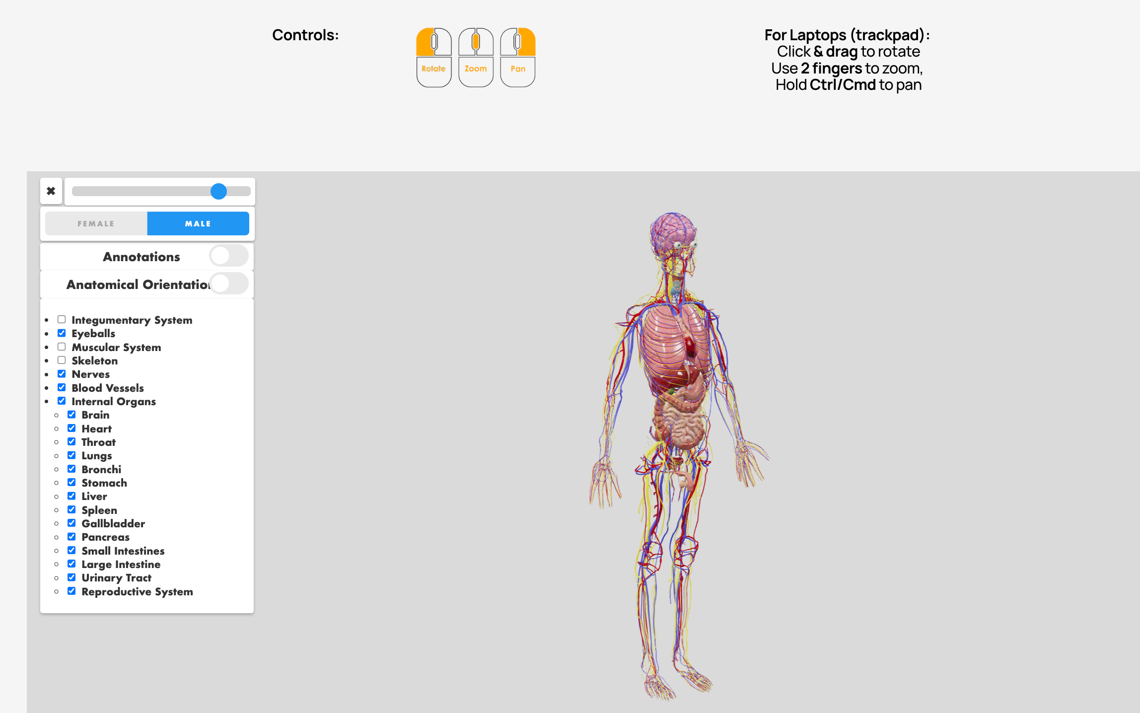 My3DAnatomy Squarespace Website — screenshot 2